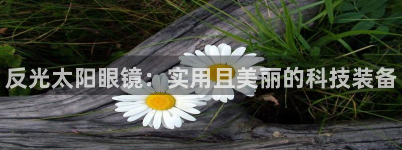 新宝5网站