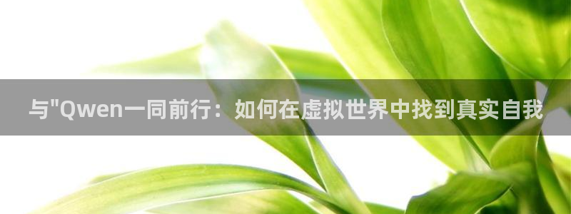 新宝5下载官方