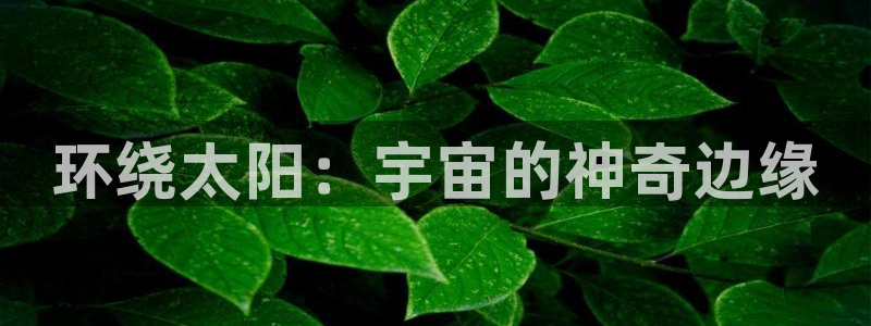 新宝5娱乐没