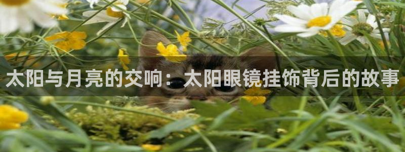 新宝5app