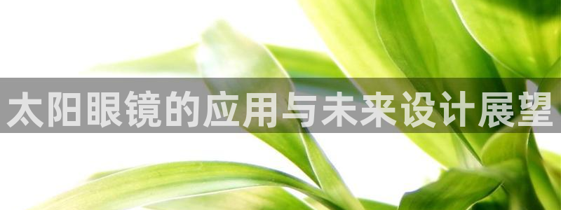 新宝5官网