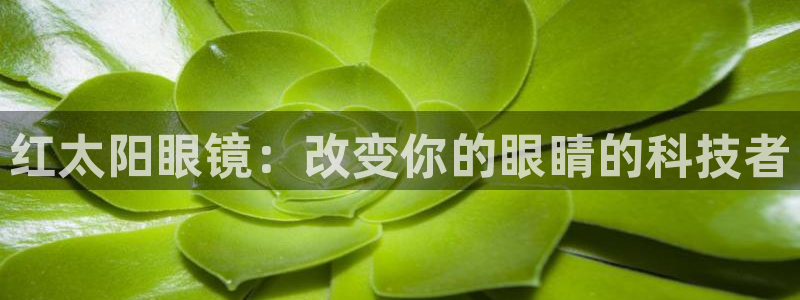新宝5娱乐学