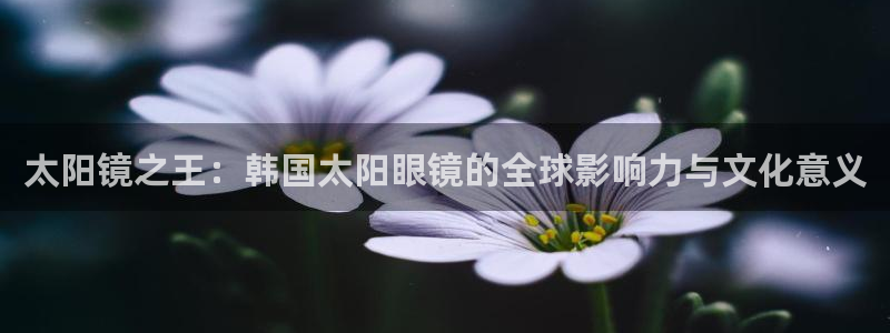 新宝5平台登陆