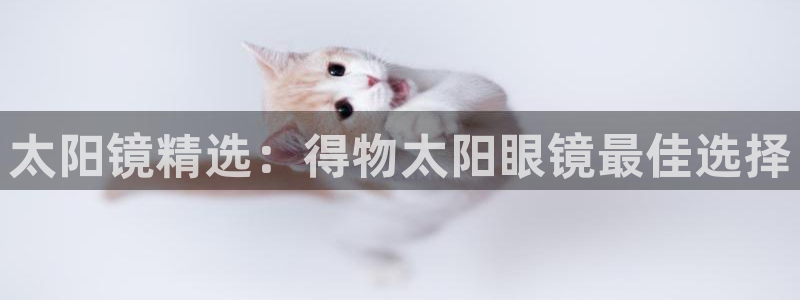 新宝5入口