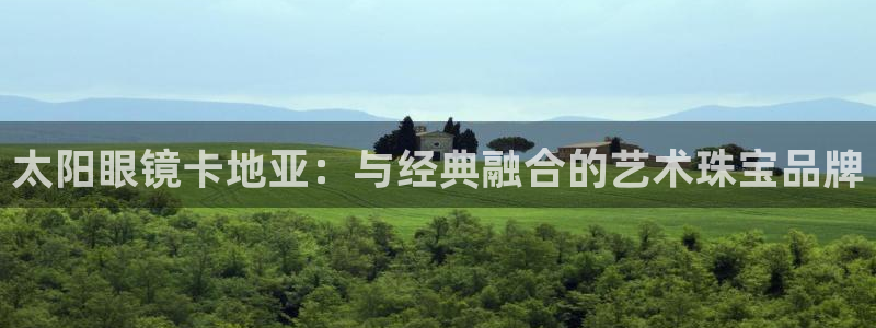 新宝5挂机软件