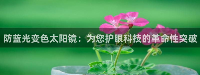 新宝5直属