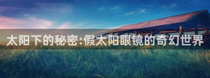 新宝5登陆地址