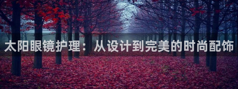 新宝5安卓版