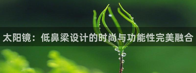 新宝5娱乐网址