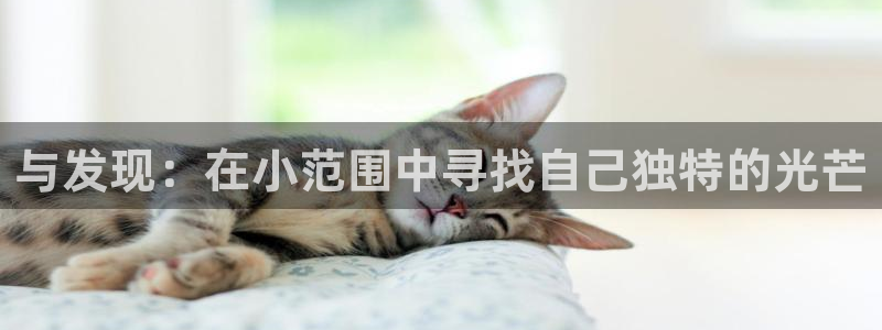 新宝5怎么下载到桌面