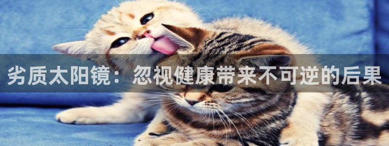 股票5G宝新